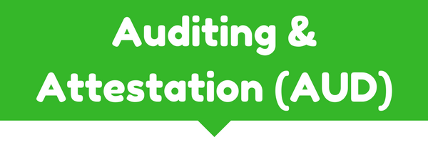 Auditing & Attestation (AUD)